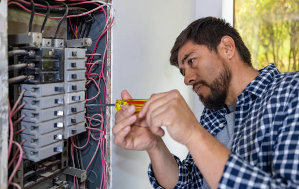 Best Electric Panel Repair  in Arbutus, MD
